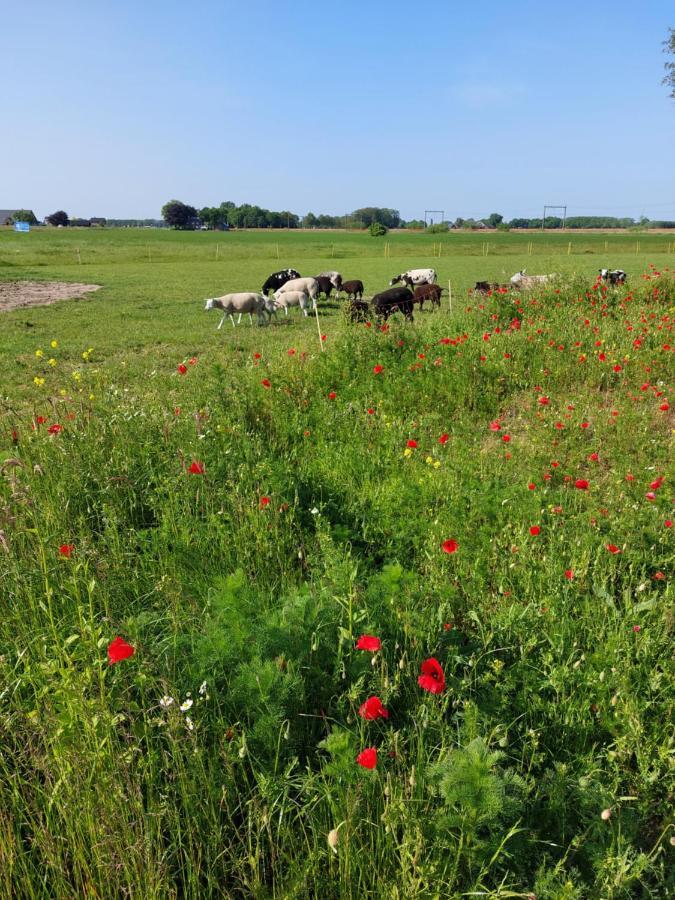 Wijhe Boerderijkamer 'T Keukentje מראה חיצוני תמונה